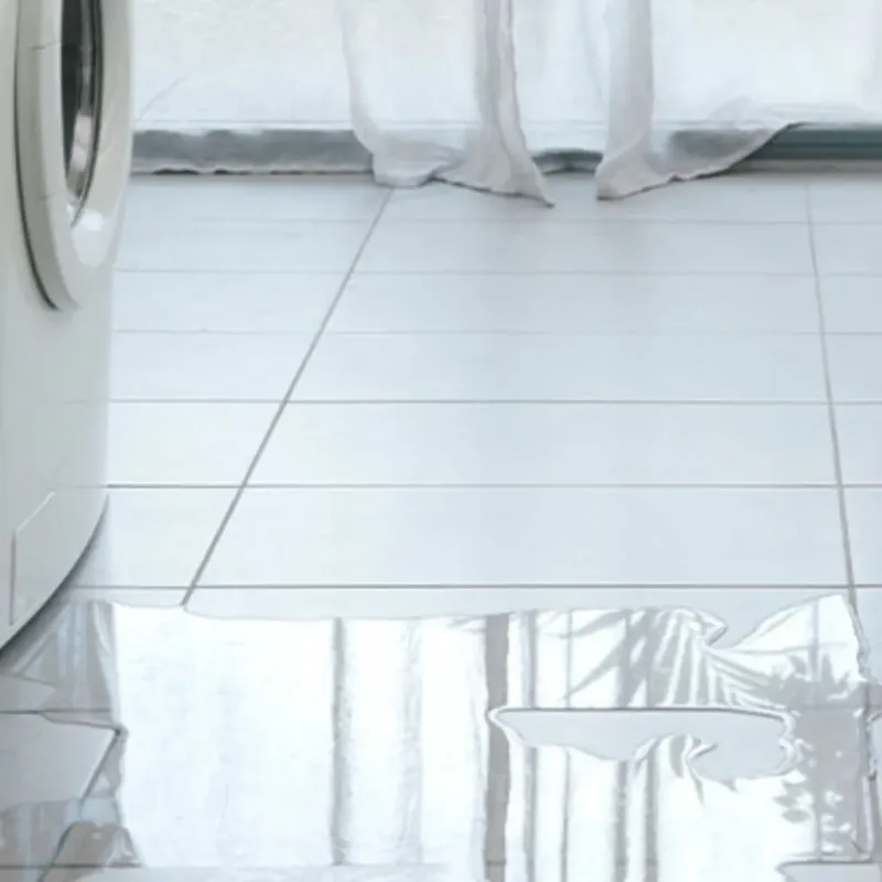 Appliance Leak Cleanup in Wood Dale, IL