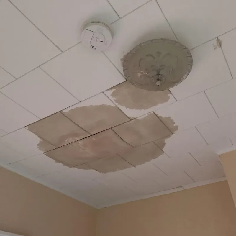 Ceiling Water Damage Repair in Wood Dale, IL
