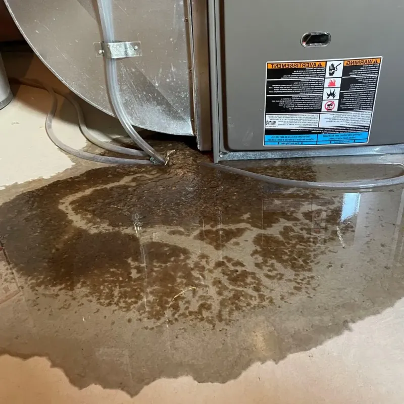 Pipe Burst and Leak Restoration in Wood Dale, IL